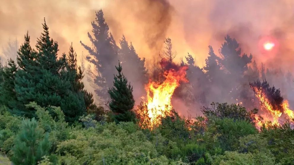 Incontrolable incendio que afecta a toda la localidad vecina de Epuyén. / Foto Gentileza Info Chucao 