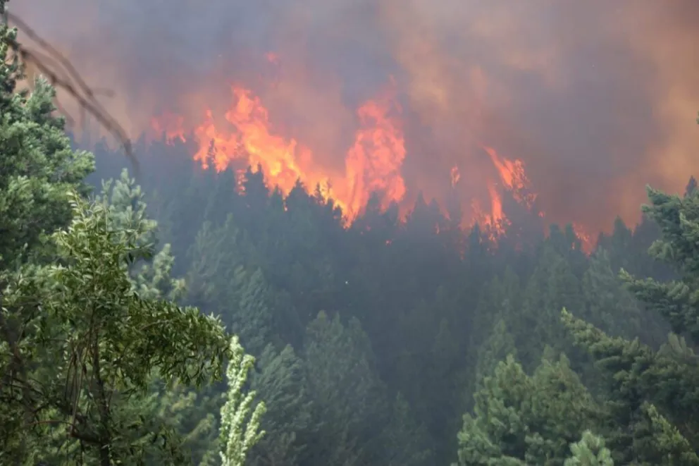 El fuego continúa su paso desde la mañana en la zona.