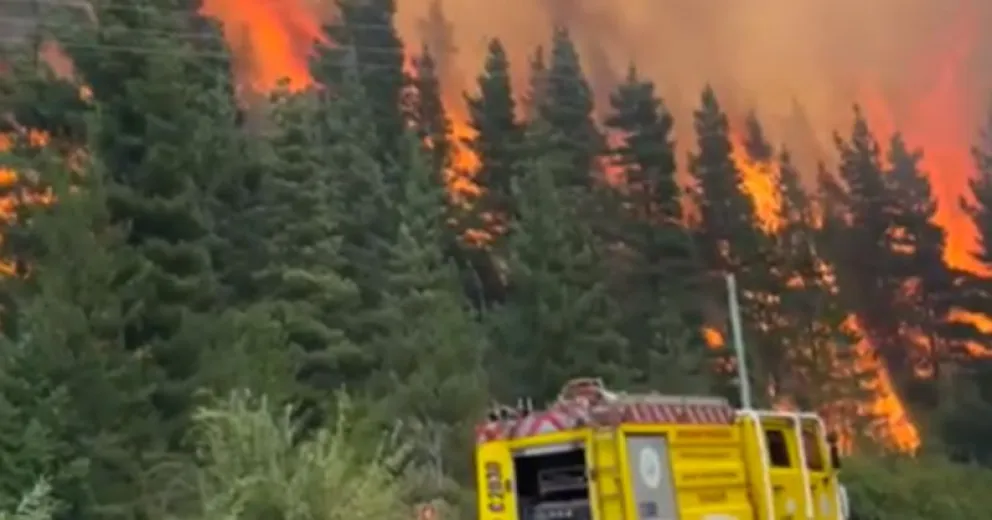 Se trata de elementos de primera necesidad.