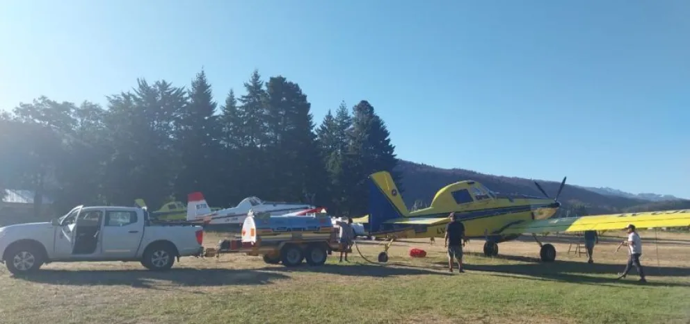 La importancia del trabajo de los brigadistas en el lugar. 