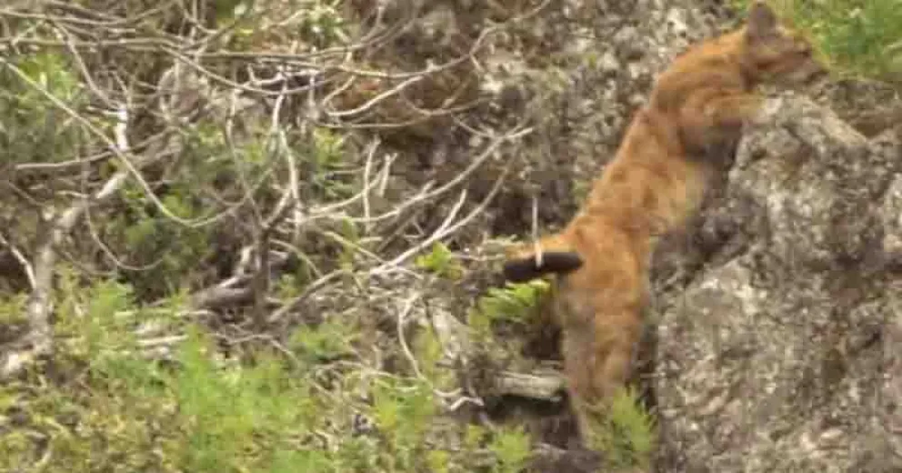 Una excursión que resultó diferente.