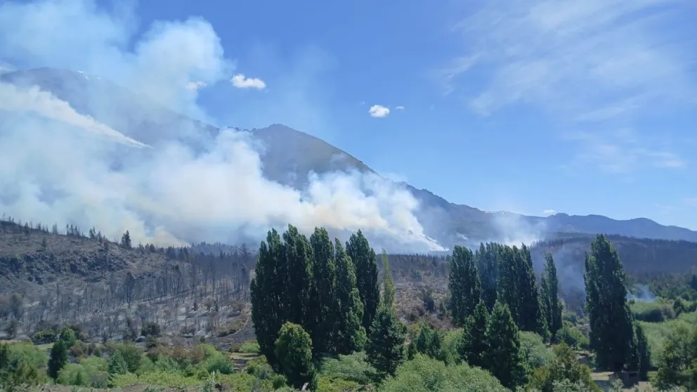 Un ejemplo de funcionamiento de la sociedad. 