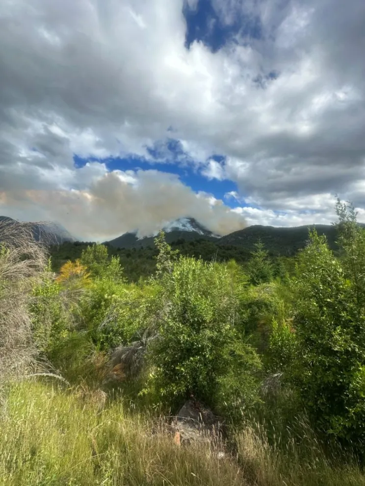 El fuego avanza sobre el cerro Colorado, en el sur del Parque Nacional Nahuel Huapi (foto: gentileza) 