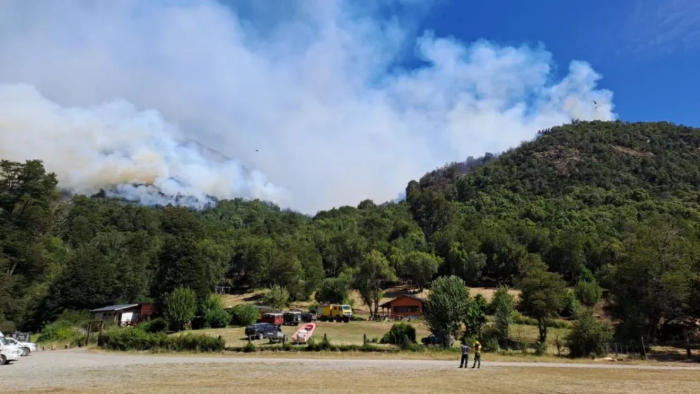 Preocupación por el avance de las llamas en la zona forestal. 