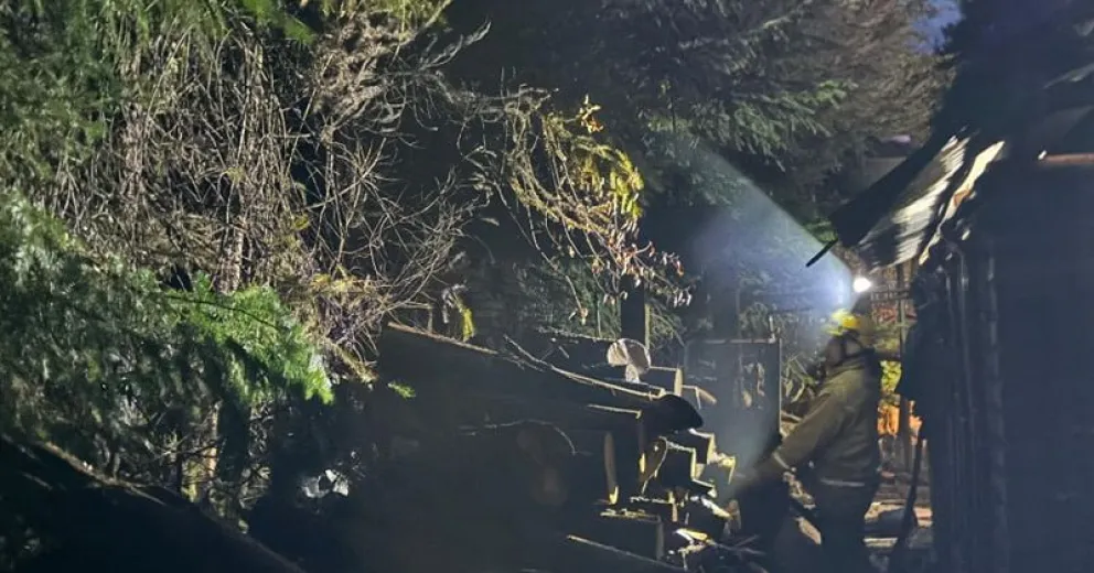 El rápido accionar evitó que el fuego se disparara al bosque.