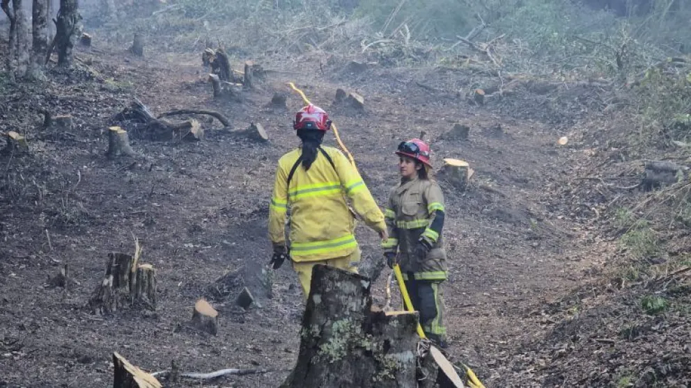 Aunque en un primer momento se pensó en turistas luego se confirmó que fue algo natural. 