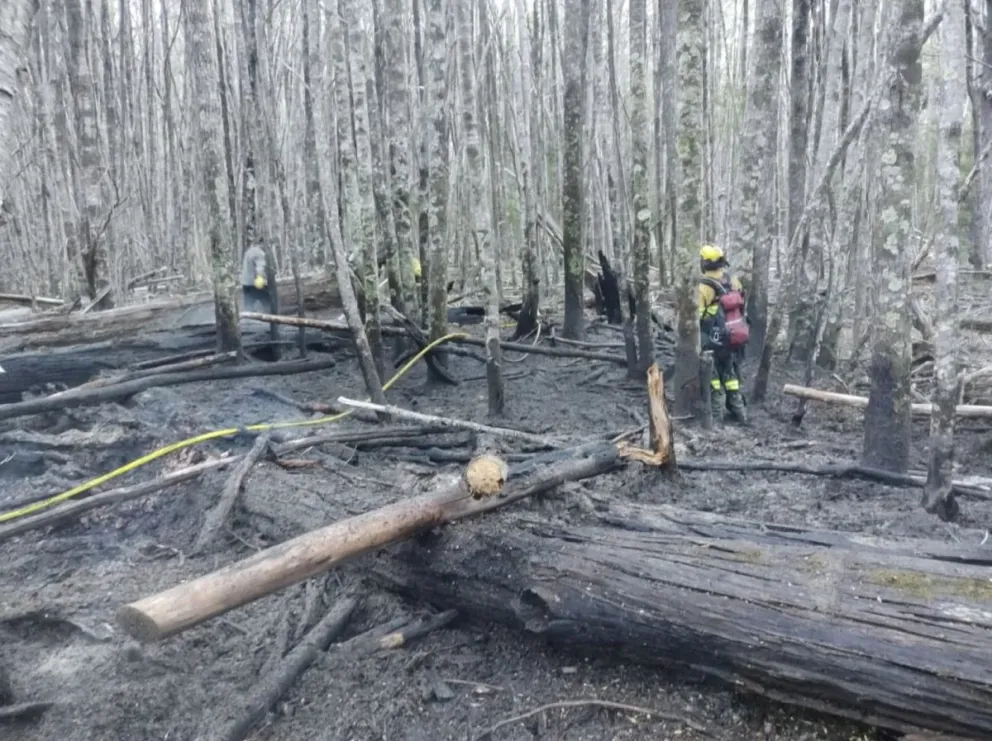 El rápido accionar evitó que pasara a mayores.
