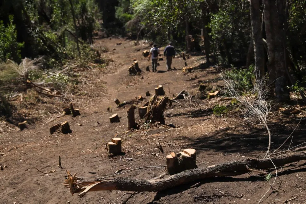 El incanzable trabajo de los brigadistas / Fotos Euge Neme 