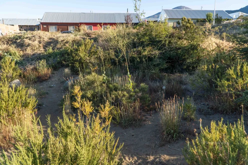 El lugar donde sucedió el aberrante hecho.