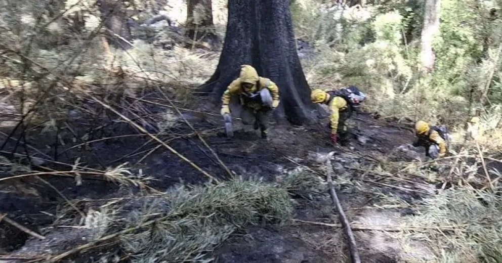 Laderas escarpadas y vegetación frondosa, una combinación muy complicada para el avance de los trabajadores.