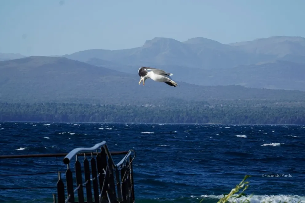 Para seguir usando campera / Foto Facu Pardo 