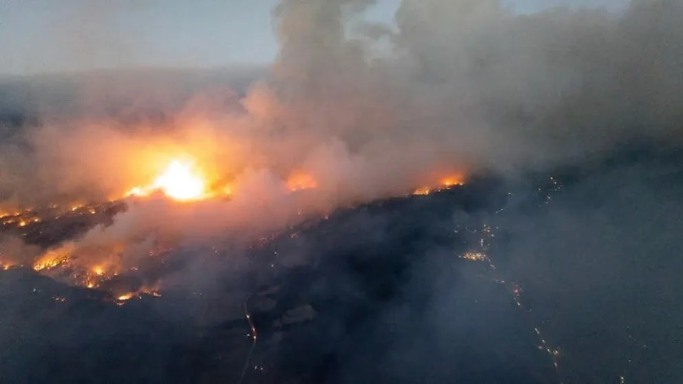 Trabajo a destajo por parte de los brigadistas. 