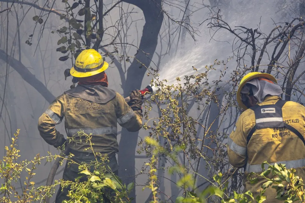 Su avance ahora es hacia alta montaña.