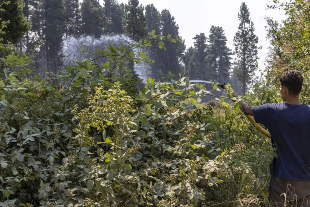 Formulario para conocer y mejorar la seguridad de tu vivienda ante incendio. Foto archivo: Eugenia Neme