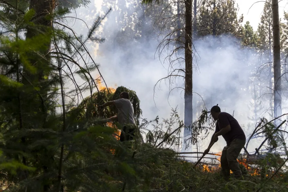 El fuego arrasó con viviendas, animales y medios de vida. (Foto: Euge Neme)
