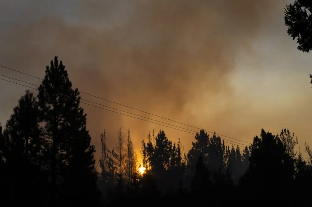 En Greenpeace aumenta la preocupación ante los incendios y hablan de un "negacionismo climático" por parte del gobierno nacional (foto: Eugenia Neme).