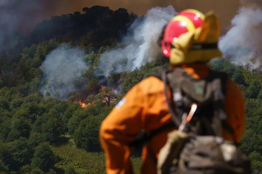 Impotencia y tristeza al ver quemarse nuestros bosques.