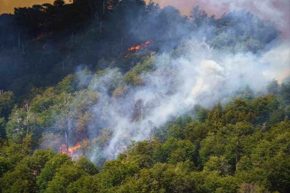 Un área de difícil acceso. 