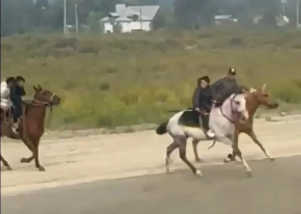 Captura de pantalla del video, gentileza de InfoChucao. 