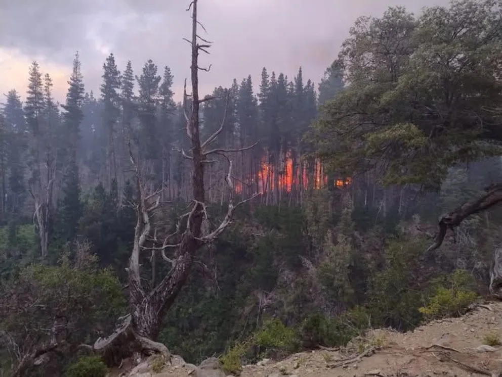 Se espera por encontrar a los responsables de todos los incendios provocados. 