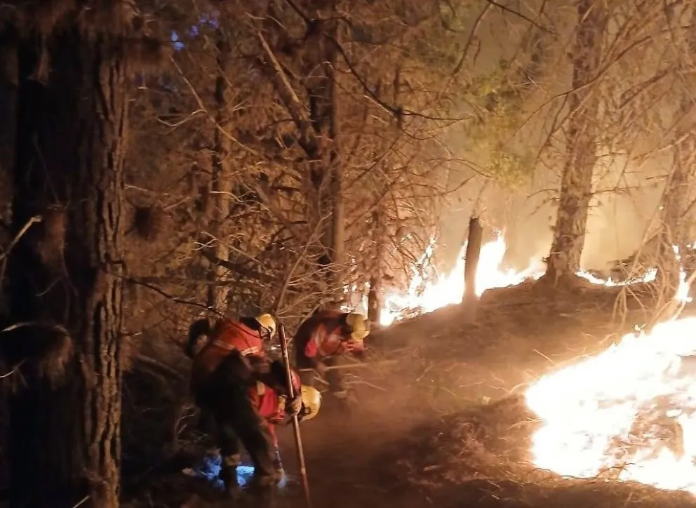 La intencionalidad se confirma en esta primera detención. 