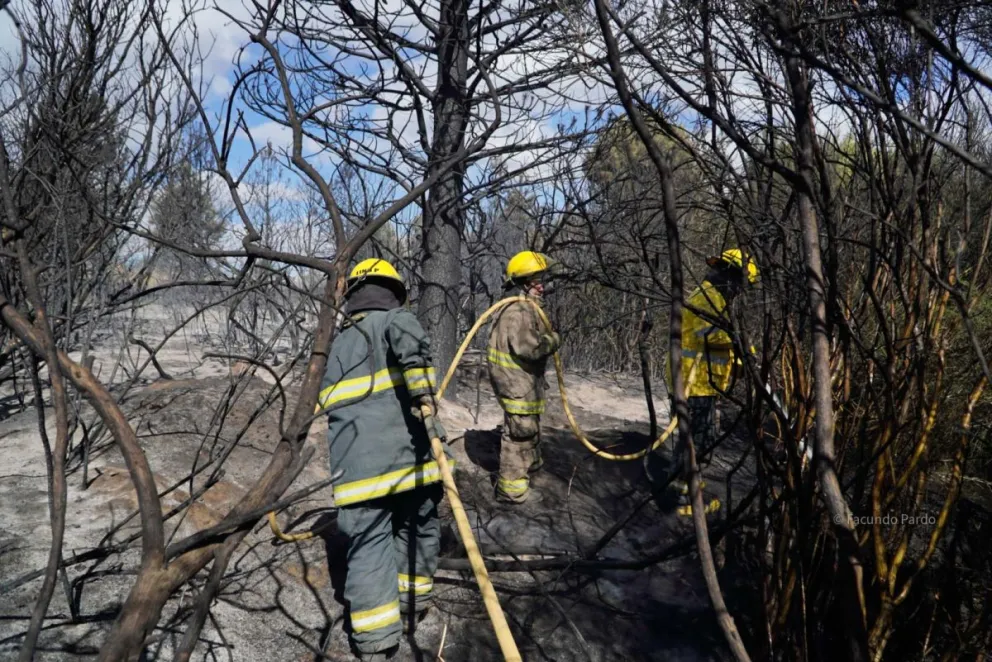 Tres incendios graves que pudieron ser controlados / Fotos Facu Pardo 