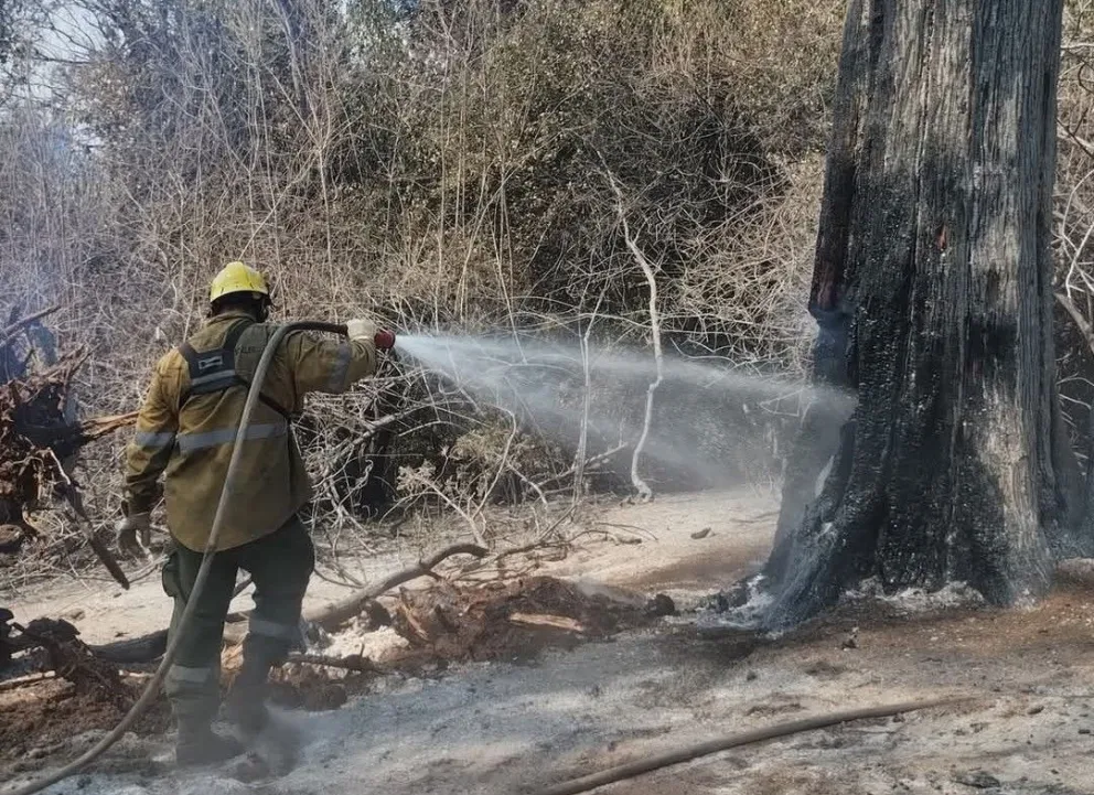 Grave situación en pleno combate del fuego. 