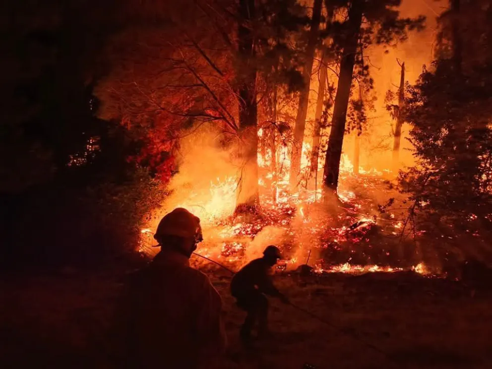 El titular de Parques habló de "golpes incendiarios perpetrados por delincuentes". 