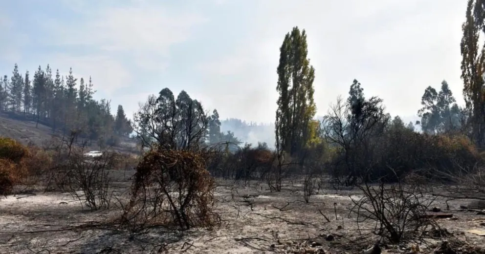 Piden sumarse a un festival por la localidad chubutense.