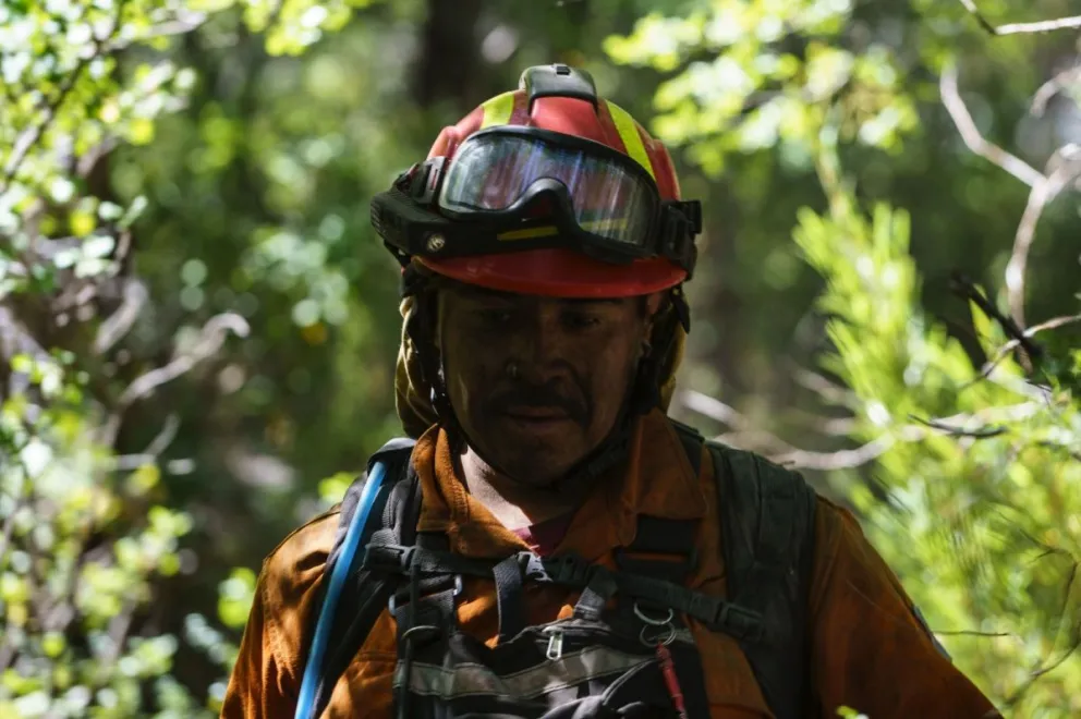 Largas jornadas de los brigadistas.