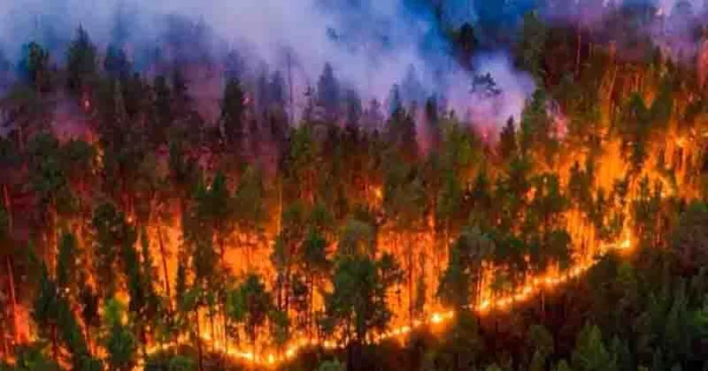 El vecino país también padece incendios intencionales.