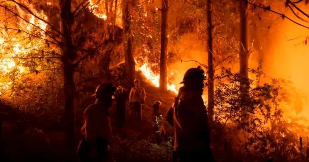 Chile también está padeciendo incendios forestales.