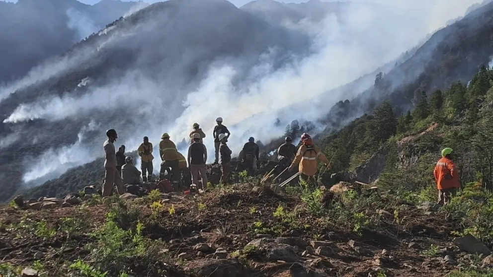Los combatientes en plena tarea de lucha contra el fuego. 