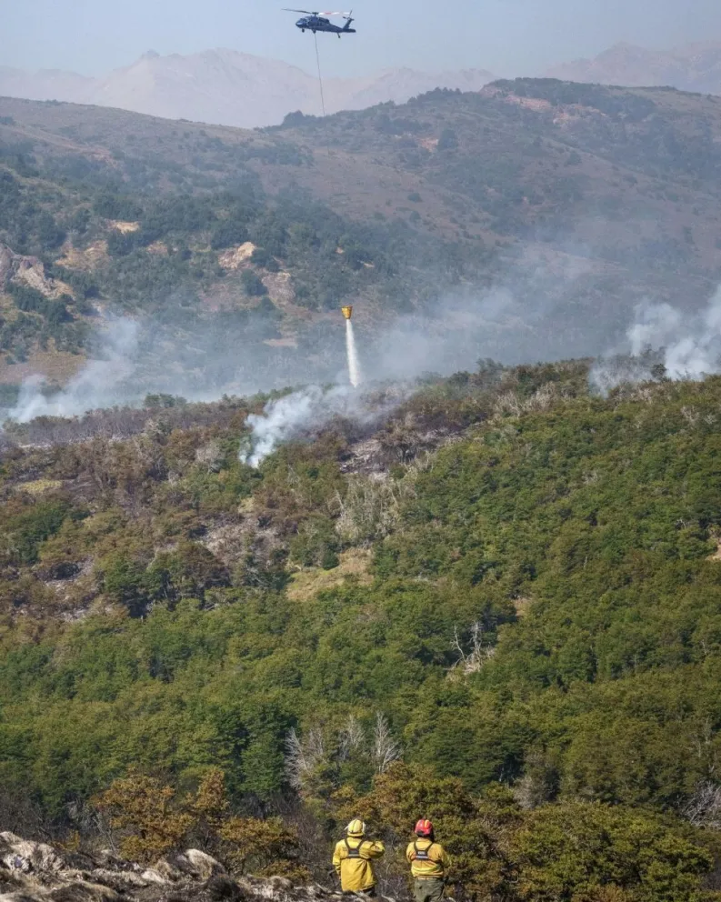 Continúa el combate del fuego en el Parque Nacional Lanín.