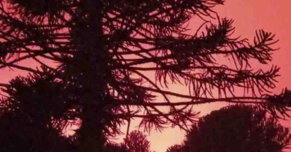 El incendio continúa activo.