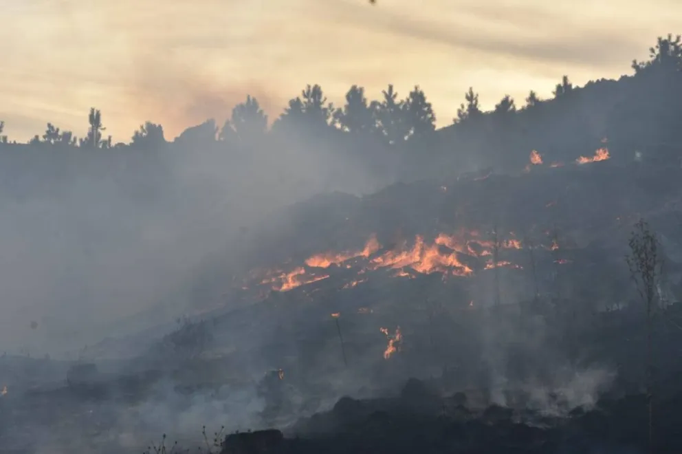 El rápido accionar articulado de instituciones, logró el control del fuego.