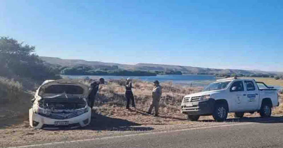 El Personal de Fauna destacó la importancia de contar con herramientas tecnológicas como Starlink.