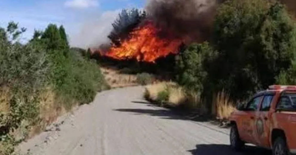 Investigan las causas que lo originó. (Foto difundida por Andrés campos).