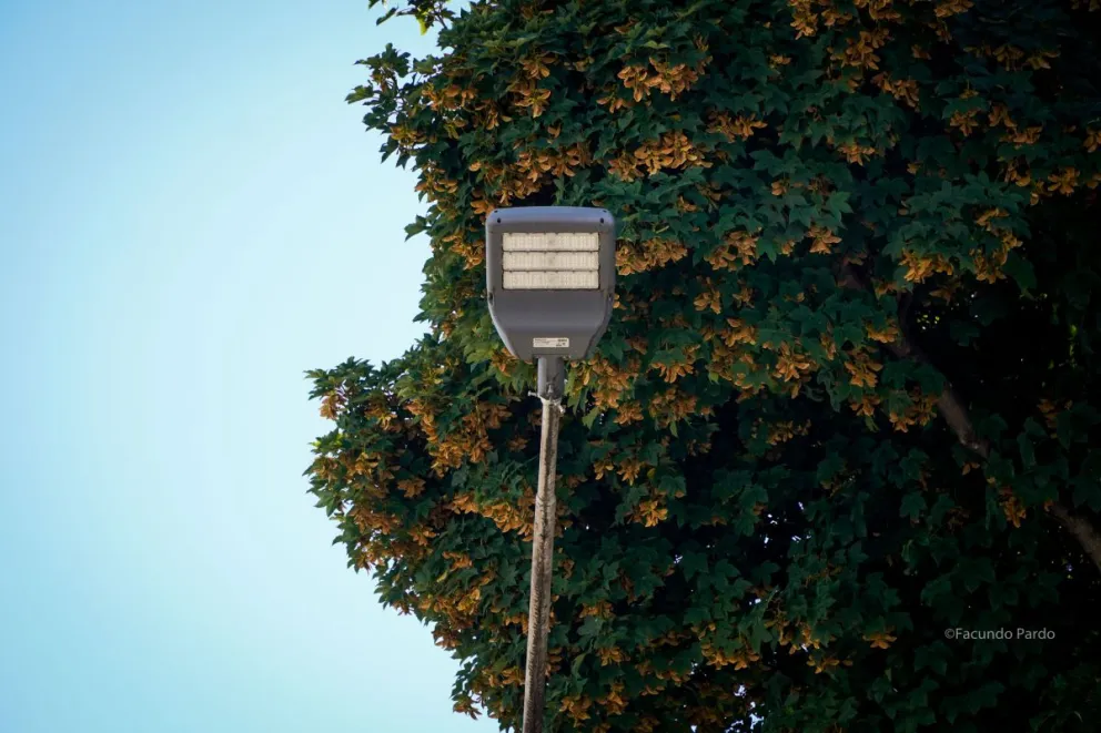 Tomar los recaudos necesarios durante la interrupción del servicio / Foto ilustrativa Facu Pardo 