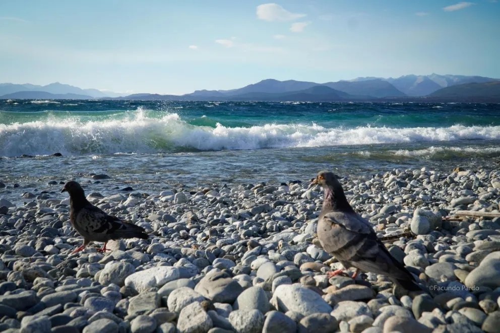 A tener en cuenta al momento de hacer actividades al aire libre / Foto: Facundo Pardo 