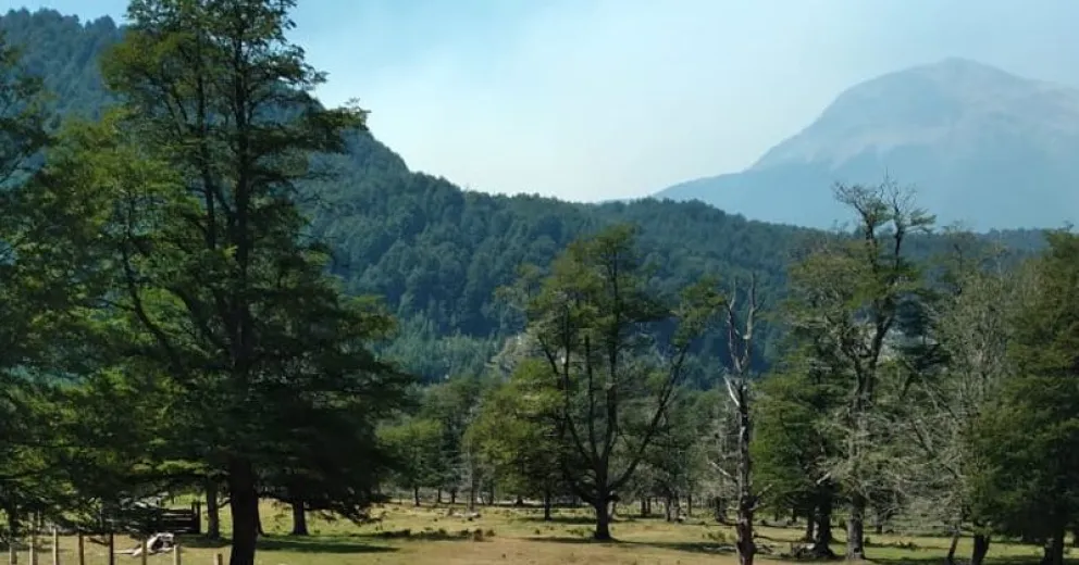 El humo presente desde hace varios días en Paso León.