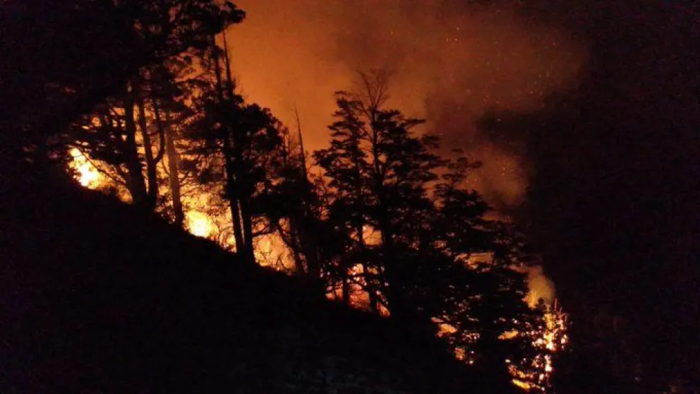 Incendio en el Parque Nacional Los Alerces (imagen posteada por Cristian Larsen en la red social X).