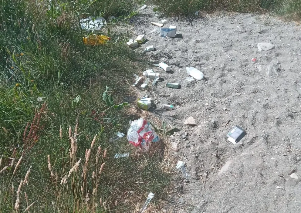 Los desechos altamente contaminantes se encontraban arrojados en la playa, a metros del lago.