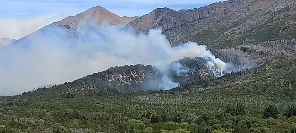 Sugieren no consumir el agua de los ríos hasta que no sea declarada potable.