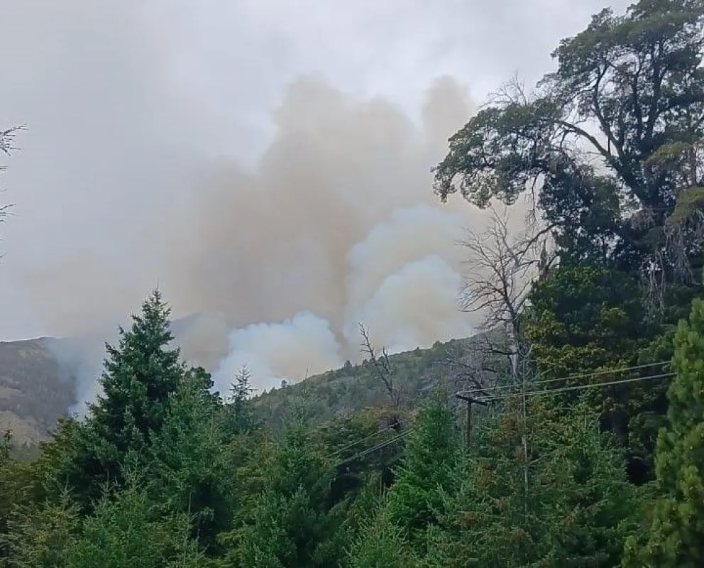 La intencionalidad en los incendios es un factor que se repite. 