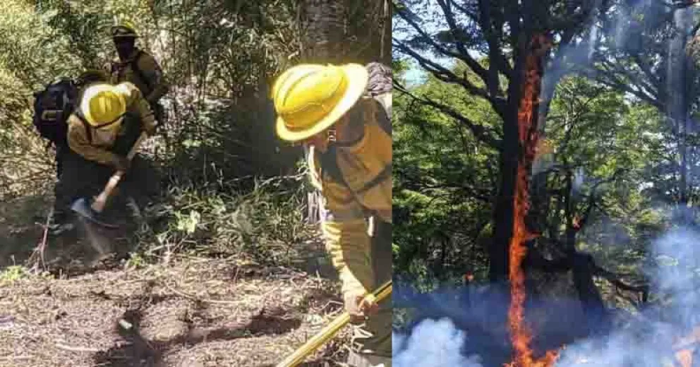 El incendio en Valle Magdalena continúa activo.Fotos: Javier Curruhuinca, jefe de ICE SMA