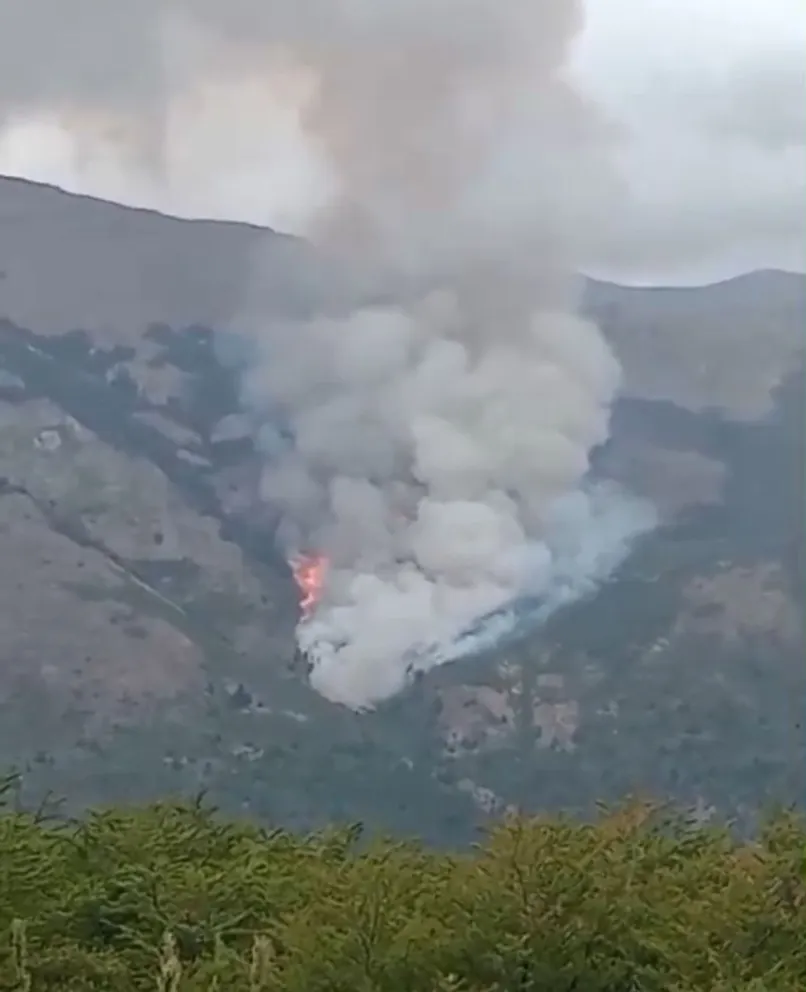 Grave testimonio que confirma la intencionalidad de un nuevo incendio en la región. 