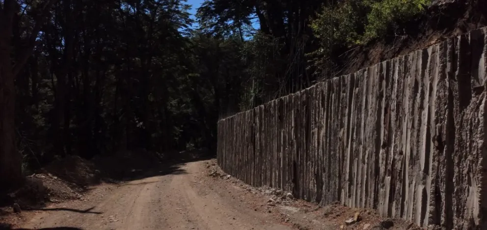 También denunciaron la construcción de muros de contención de cemento dentro de un área protegida.