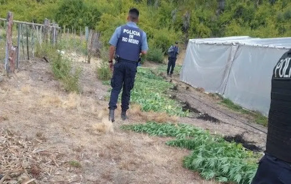 Un allanamiento que se desvió por un procedimiento más importante / Fotos Gentileza Noticias del Bolsón. 