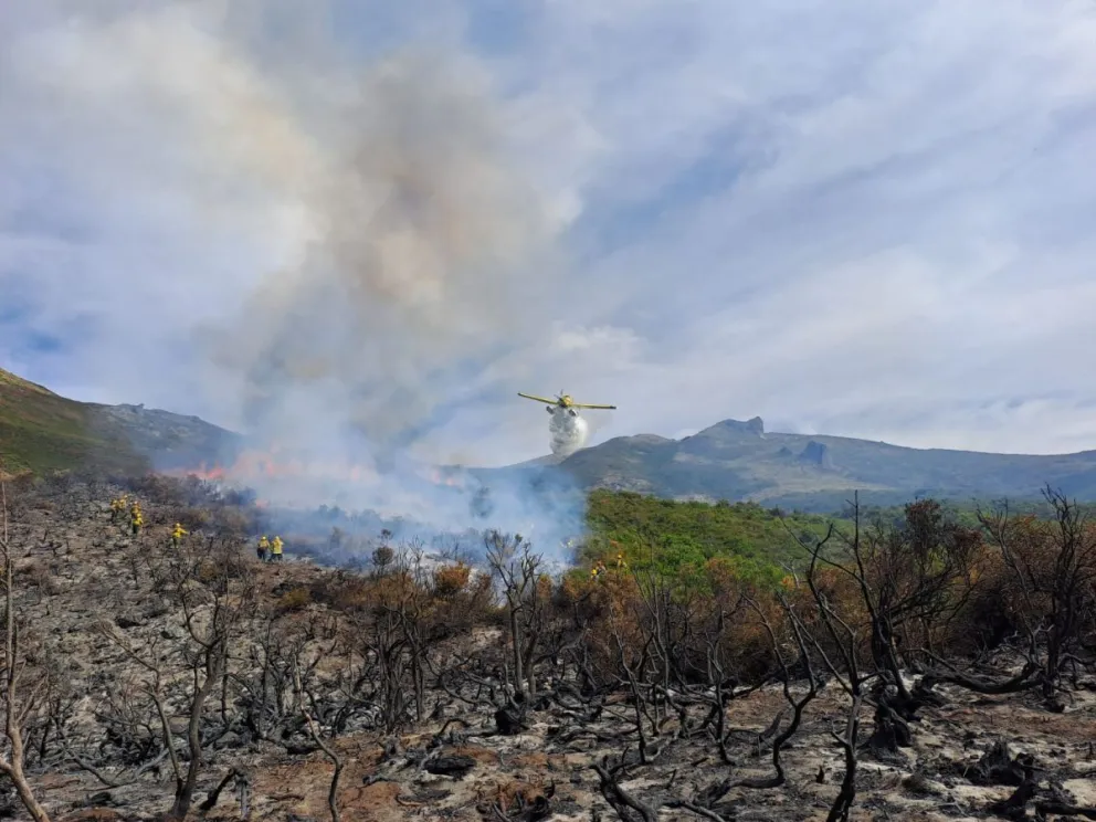 El avión y el helicóptero hidrante aportaron para frenar el avance de las llamas. (Fotos: gentileza)